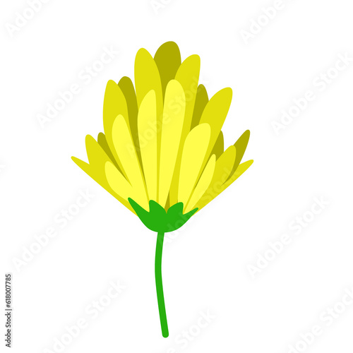 blue yellow pink purple  orange flower on white background for decorate wallpaper and background