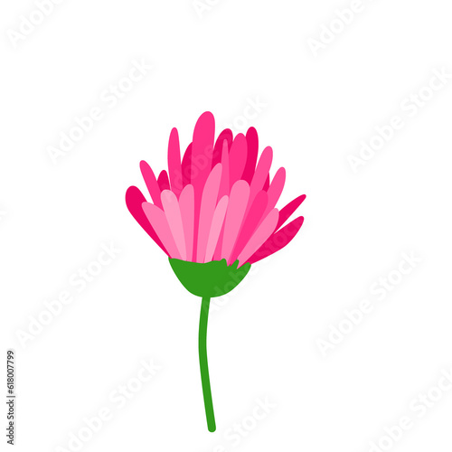 blue yellow pink purple  orange flower on white background for decorate wallpaper and background