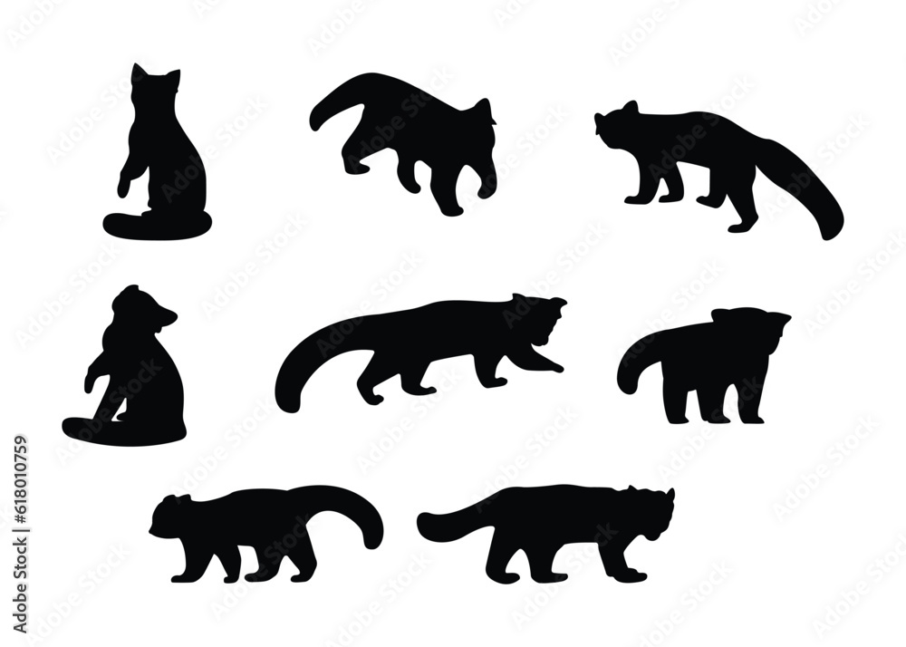 Black and white set of cute red pandas in different poses, flat style animal character design on white background.