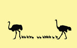 African animals. Ostrich. Ostrich parents raising young babies. Lots of. Vector silhouette isolated.