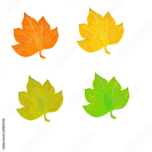 set of vector maple leaves