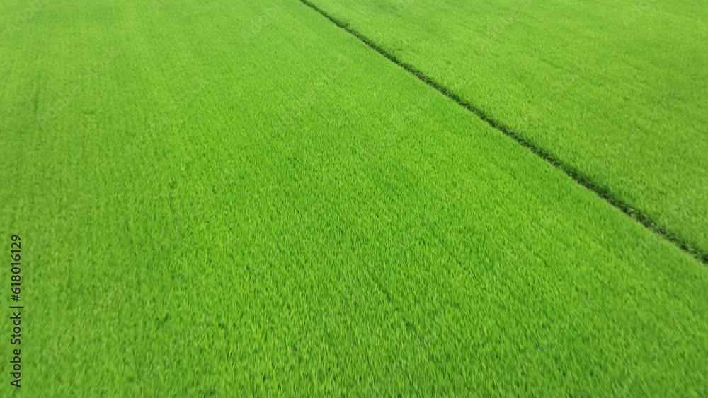 Drone view of Taiwan countryside. Drone view of Taiwan countryside.