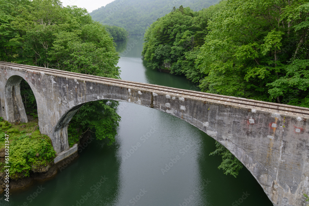 Fototapeta premium 廃線跡に残る鉄道橋