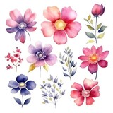 Watercolor flowers. Set Watercolor of multicolored colorful soft flowers. Flowers are isolated on a white background. Flowers pastel colors.