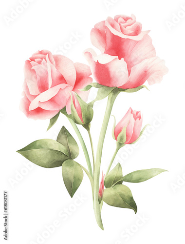 Watercolor bouquet of roses isolated.