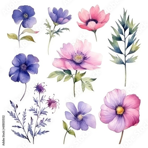 Watercolor flowers. Set Watercolor of multicolored colorful soft flowers. Flowers are isolated on a white background. Flowers pastel colors. 