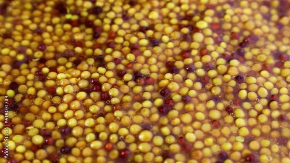 French dijon mustard texture circle rotation close up French dijon mustard texture circle rotation close up