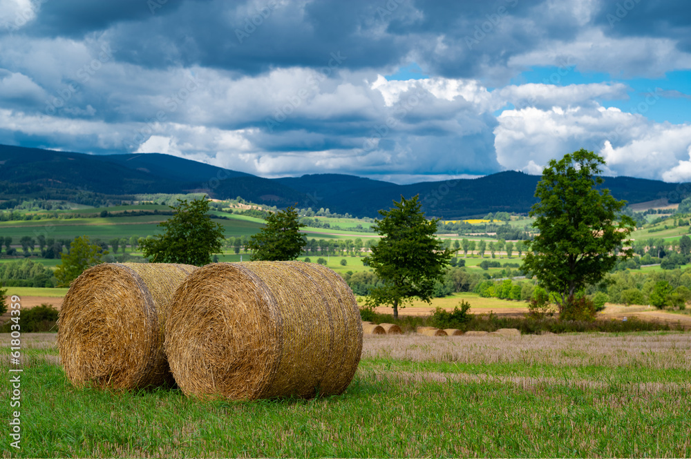 roll of hay lying on the background of a beautiful landscape roll of hay lying on the background of a beautiful landscape