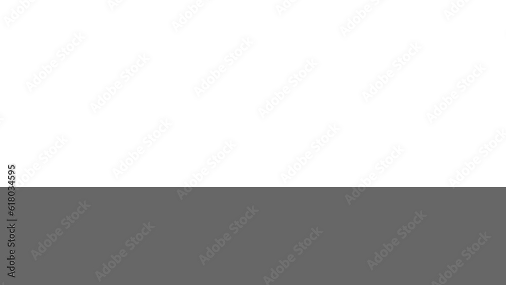 Transparent white and black photo background vector