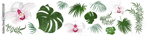 Large vector set of tropical plants and flowers on a white background. White and pink orchid, palm leaves and other tropical plants. Vector illustration