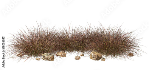 Fotografering Isolate savanna dry grass meadow shrubs with rocks on transparent backgrounds 3d