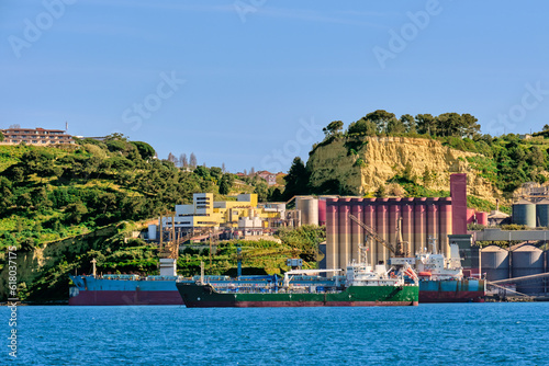 Obraz na płótnie Grain and oilseeds terminal and dry bulk cargo ships on sunny day. w salonie