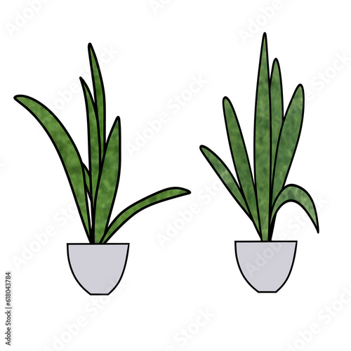 Drawing of plants in a pot ...