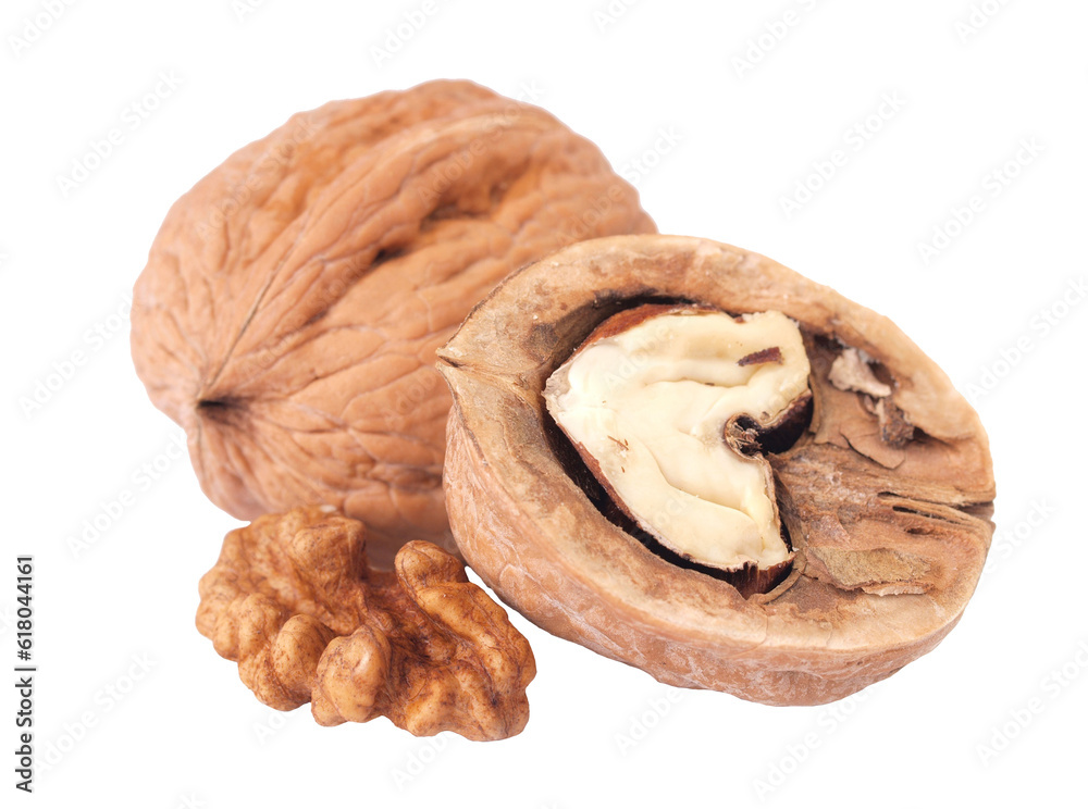 Walnut isolated on white background Walnut isolated on white background