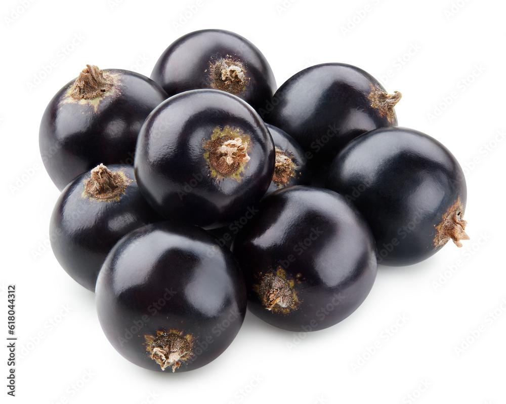 Black currant isolated Black currant isolated
