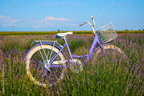 Women's vintage purple bicycle as decoration on lavender field. Focus on the bike.