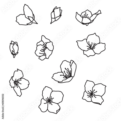 Decorative elements doodle set. Simple flowers. Hand drawn vector illustration isolated on white background. jasmine, cherry, apple, pear flowers