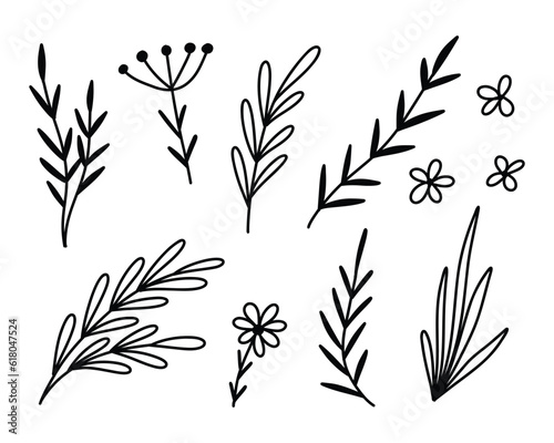 Set of leaves and flowers in doodle style. Vector illustration. Linear collection of branches with leaves.
