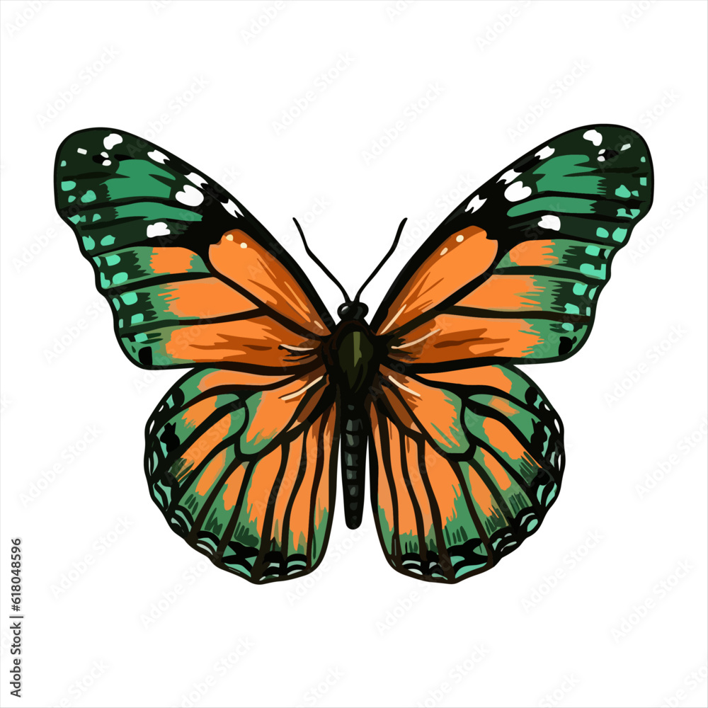 Fototapeta premium Beautiful colorful cartoon exotic vector isolated on white pastel green butterfly with colorful wings and antennae sticker flat design