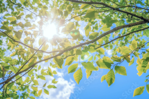 Brilliant fresh greenery and sunshine filtering through foliage  Generative AI