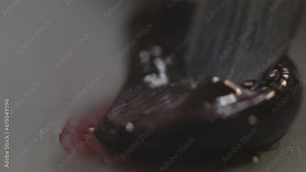 Macro closeup of paintbrush spreading and pushing black oil paint