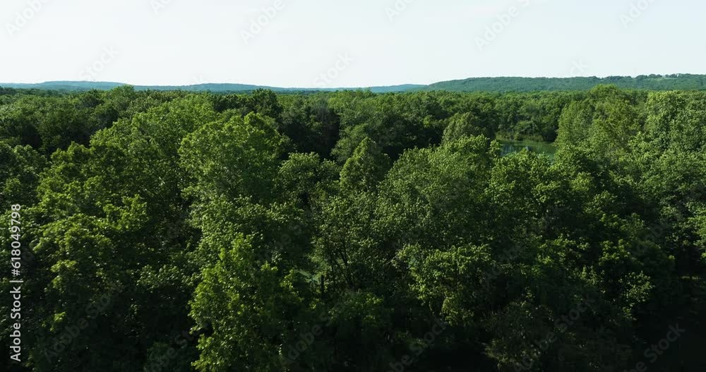 Flying Above Lush Green Forest And River In AR, USA - drone shot Flying Above Lush Green Forest And River In AR, USA - drone shot