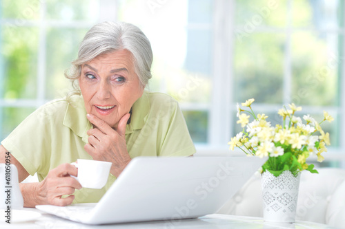 old nice woman using laptop at home