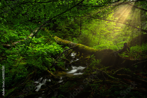 Fototapeta Naklejka Na Ścianę i Meble -  Small creek and waterfall in the green summer forest with sun rays through the trees