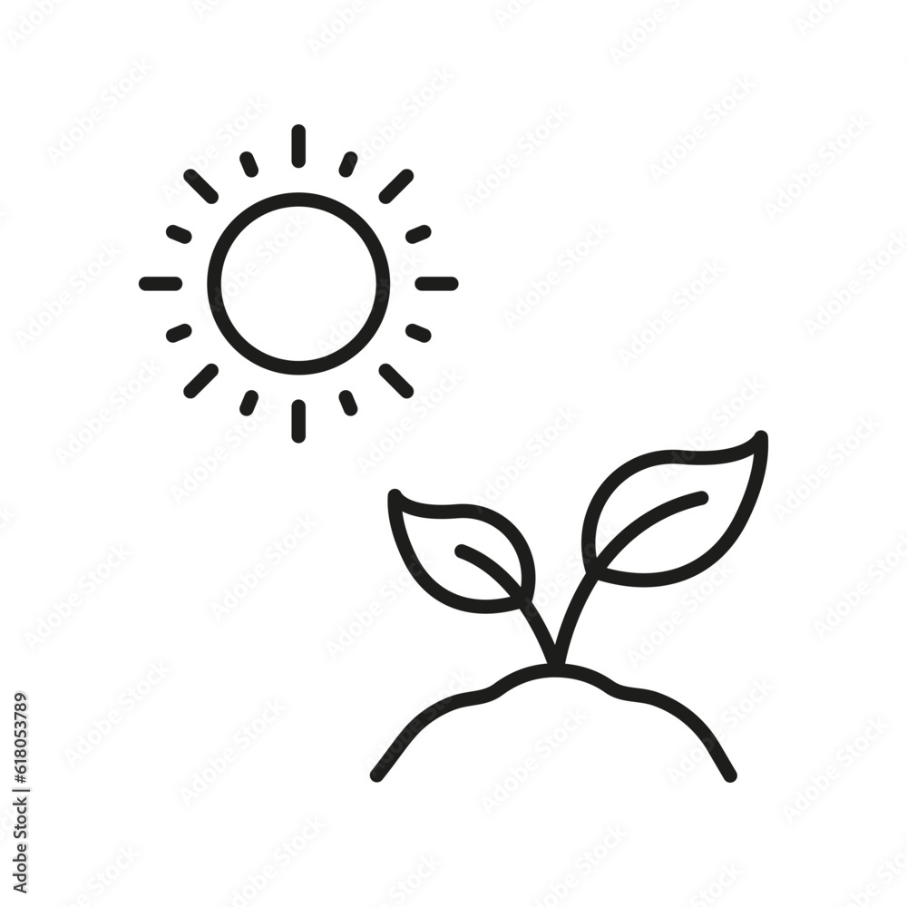 Obraz premium Sun and Plant, Tree Growth Line Icon. Organic Leaf, Environmental Agriculture Linear Pictogram. Eco Friendly Plant Outline Symbol. Gardening Sign. Editable Stroke. Isolated Vector Illustration
