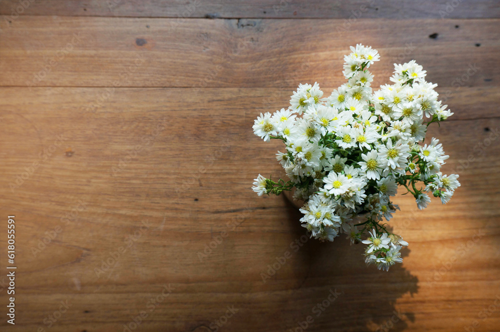 Beautiful flowers and home plants on windowsill Beautiful flowers in vase on table Beautiful flowers and home plants on windowsill Beautiful flowers in vase on table