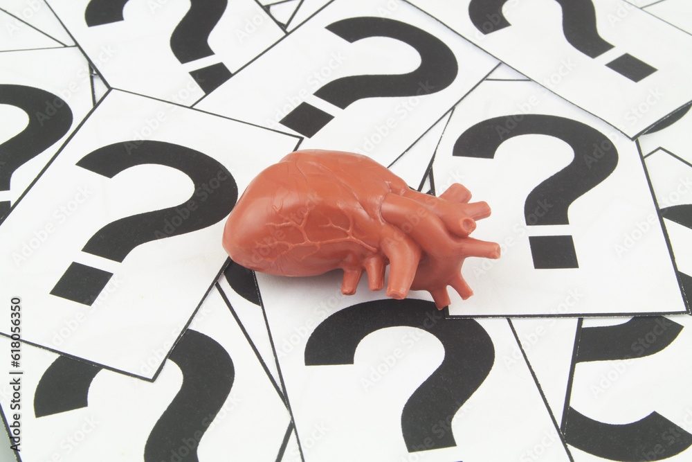Human heart model on question mark background. Heart health questions