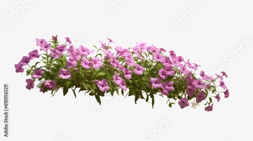 Group of Phlox Paniculata creeper plants isolated on a transparent background, Generative AI.