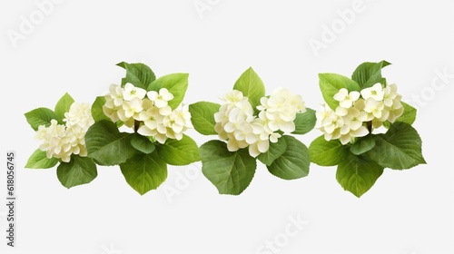 Hydrangea bushes in bloom isolated on a transparent background, Generative AI.