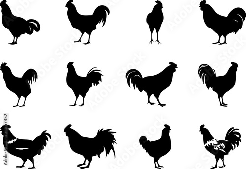 chicken rooster hen silhouette set