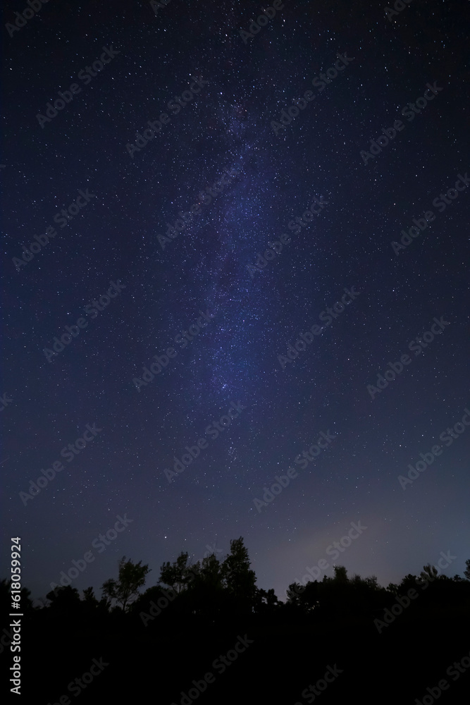 Milky Way galaxy in night sky above forest