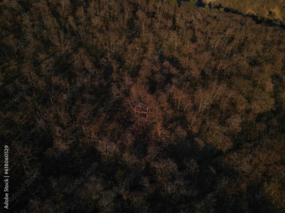Aerial view of a dense forest on a mountain Aerial view of a dense forest on a mountain