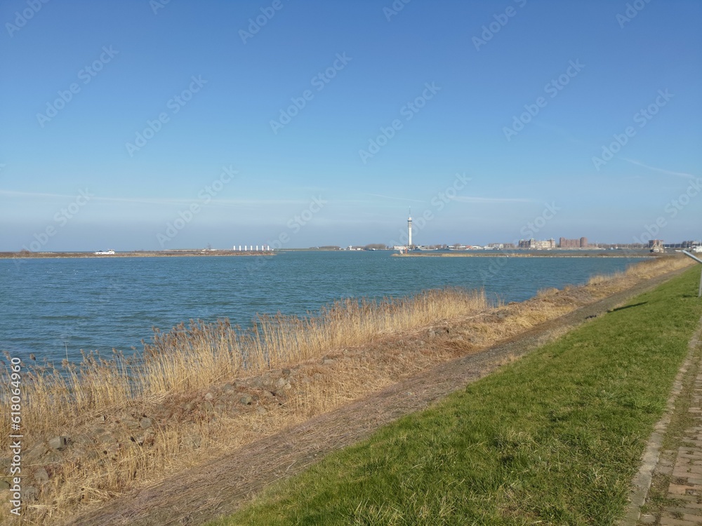 Body of water in the background of a grassy field, creating a tranquil and peaceful atmosphere