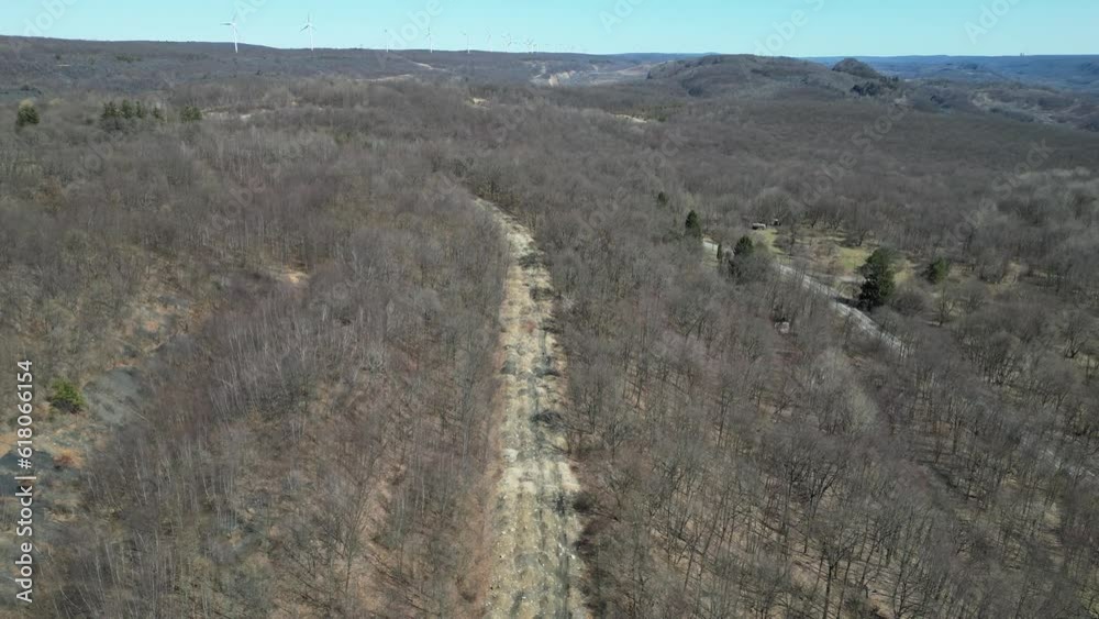Drone view over a digging road between leafless trees Drone view over a digging road between leafless trees