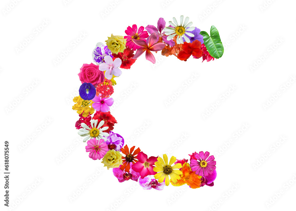 C shape made of various kinds of flowers petals isolated on transparent background, PNG C shape made of various kinds of flowers petals isolated on transparent background, PNG