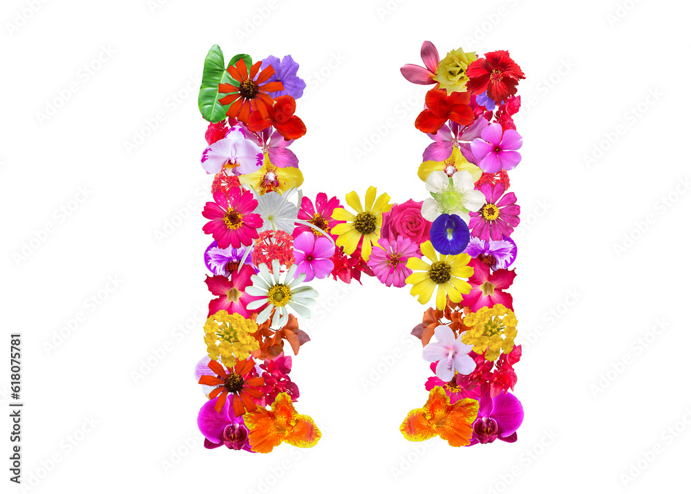 H shape made of various kinds of flowers petals isolated on transparent background, PNG