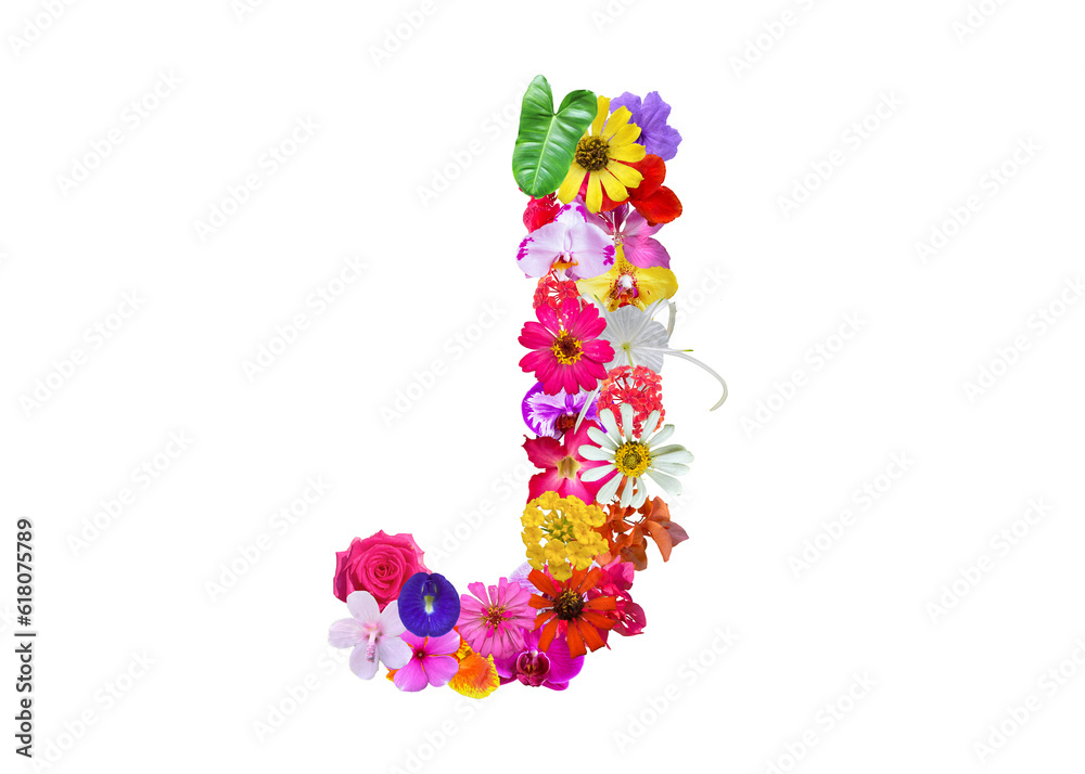J shape made of various kinds of flowers petals isolated on transparent background, PNG