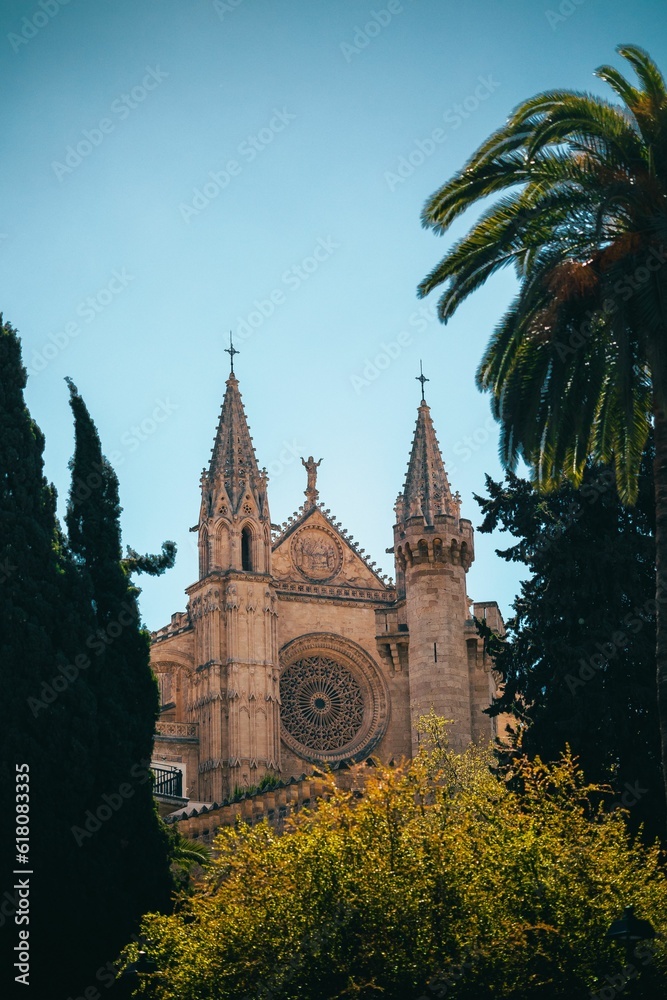 Vertical shot of the Cathedral of Santa Maria in Palma de Mallorca, Spain