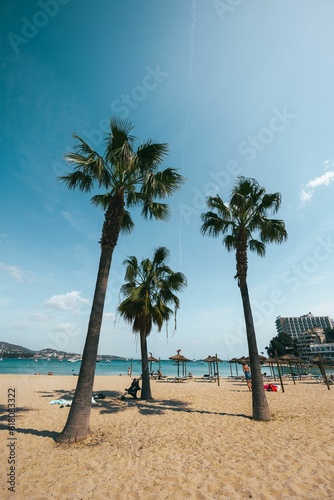 Stunning beach scene with a clear blue sky and a row of palm trees along the shoreline
