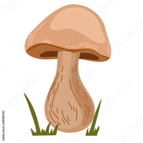 White mushroom. Forest. Harvesting. Ingredient for food and recipes. Hand drawn vector illustration isolated on the white background. 
