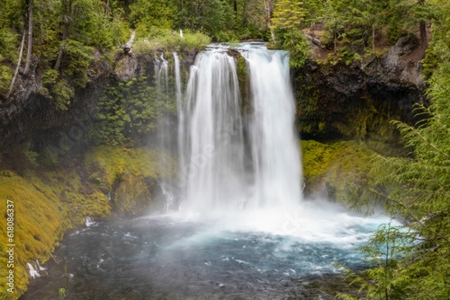 Majestic Koosah Falls flowing into a lush  vibrant forest in central Oregon