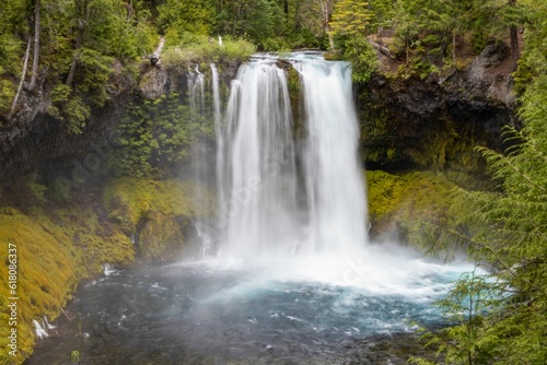 Majestic Koosah Falls flowing into a lush, vibrant forest in central Oregon