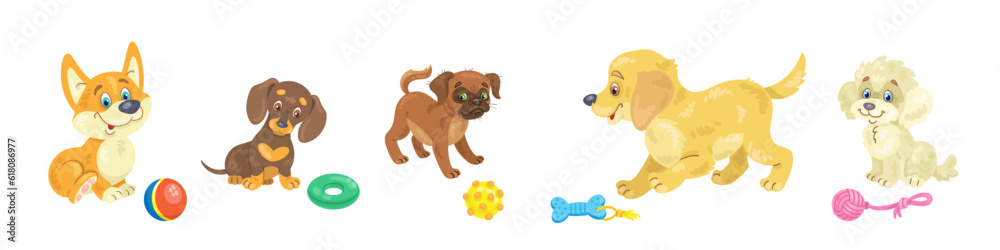 Fototapeta premium Cute funny puppies with their toys. Set of different breeds. Corgi, dachshund, belgian griffon, golden retriever, and poodle. In cartoon style. Isolated on white background. Vector flat illustration.