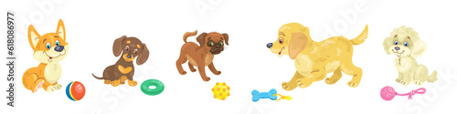 Cute funny puppies with their toys. Set of different breeds. Corgi, dachshund, belgian griffon, golden retriever, and poodle. In cartoon style. Isolated on white background. Vector flat illustration.