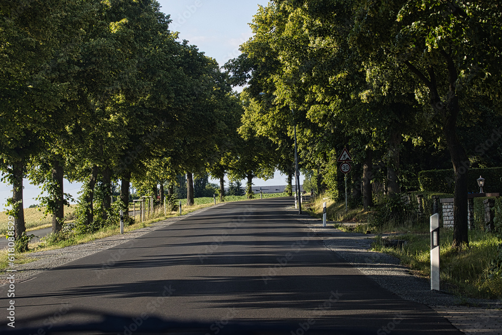 Path to Nature