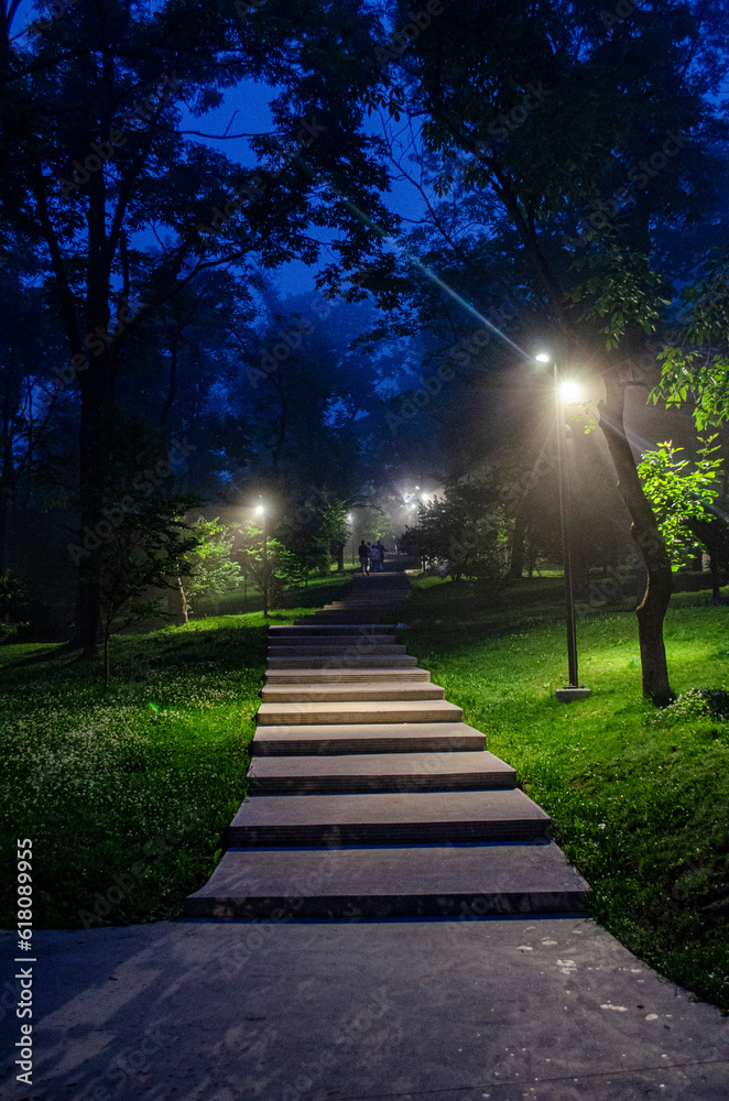 Obraz premium alley in the park